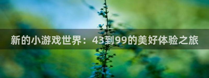 杏悦2平台报名时间