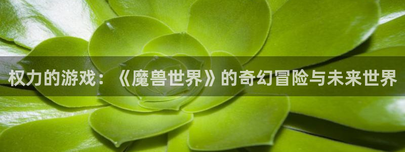 杏悦2娱乐平台