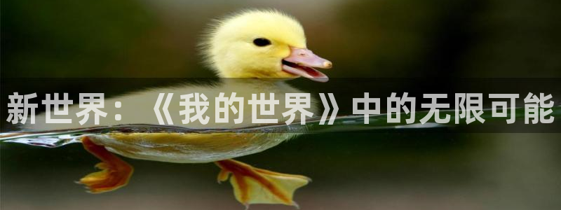 杏悦2官方最新版本更新内容是什么