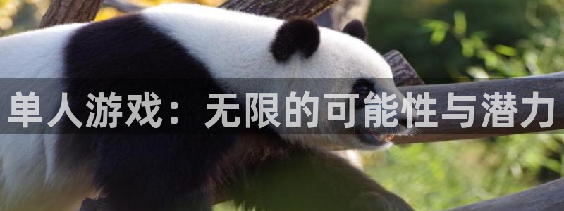 杏悦2游戏官网