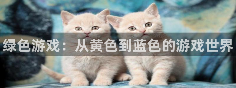 杏悦2官网集团