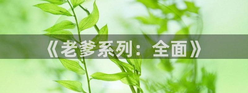 杏悦2测速