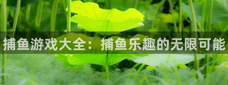 杏悦2平台官网登录：捕鱼游戏大全：捕鱼乐趣的无限可能