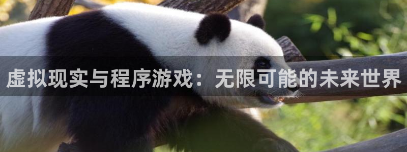 杏悦2代理：虚拟现实与程序游戏：无限可能的未来世界
