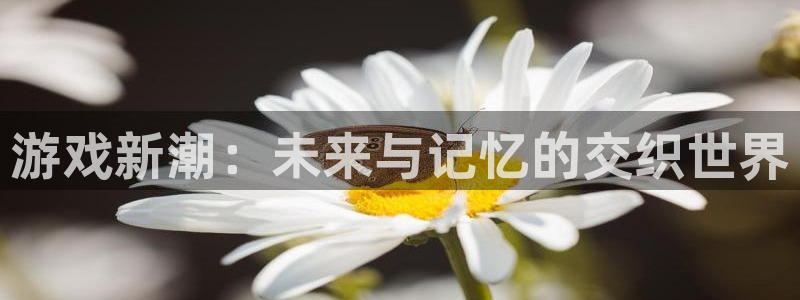 杏悦2新版本账号登录网址：游戏新潮：未来与记忆的交织世界