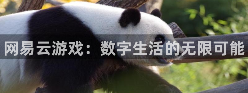 杏悦2定了平台：网易云游戏：数字生活的无限可能