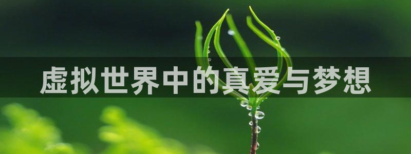杏悦2注册地址：虚拟世界中的真爱与梦想