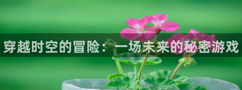 杏悦2娱乐平台注册：穿越时空的冒险：一场未来的秘密游戏