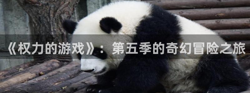 杏悦2测试：《权力的游戏》：第五季的奇幻冒险之旅