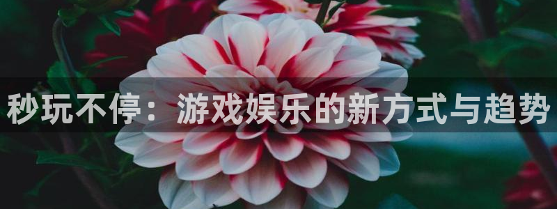 杏悦2主管：秒玩不停：游戏娱乐的新方式与趋势