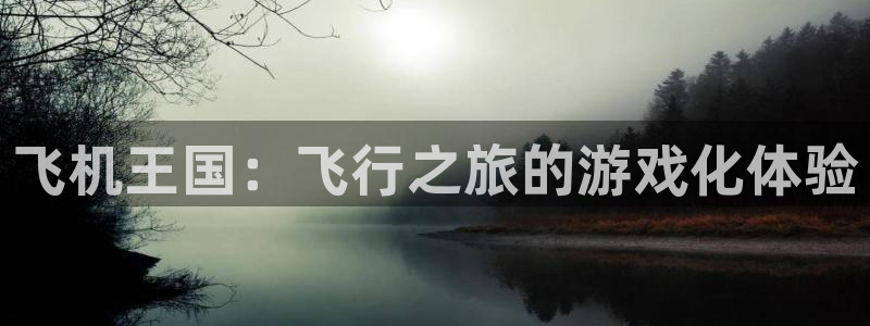 杏悦2测速登录官网：飞机王国：飞行之旅的游戏化体验