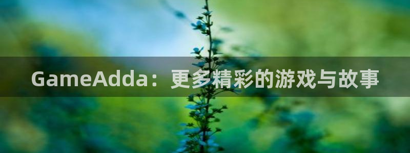 杏悦2代理：GameAdda：更多精彩的游戏与故事