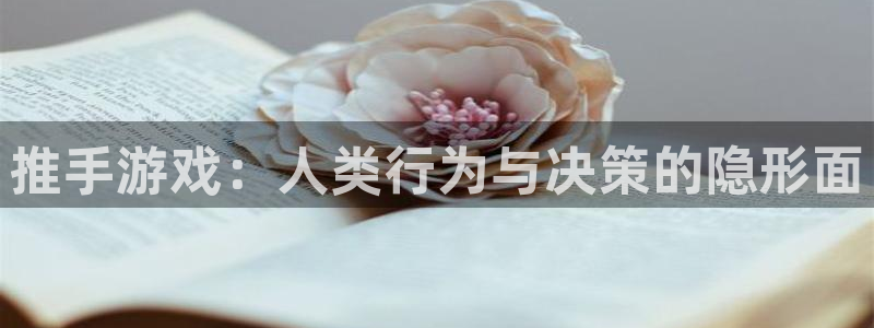 杏悦2代理注册：推手游戏：人类行为与决策的隐形面