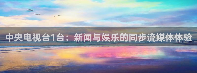黑白直播体育app