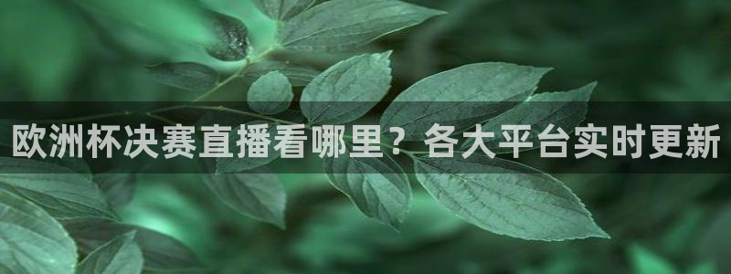 黑白视频足球直播