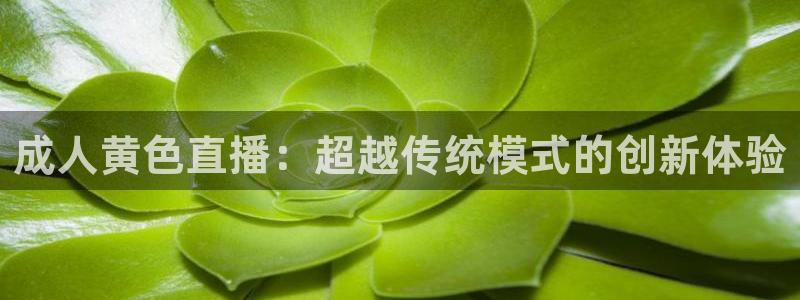 足球黑白直播：成人黄色直播：超越传统模式的创新体验