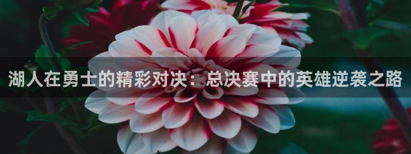 黑白体育在线直播免费：湖人在勇士的精彩对决：总决赛中的英雄逆袭之路