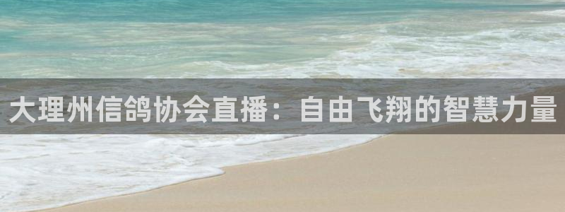 nba黑白直播在线观看免费：大理州信鸽协会直播：自由飞翔的智慧力量