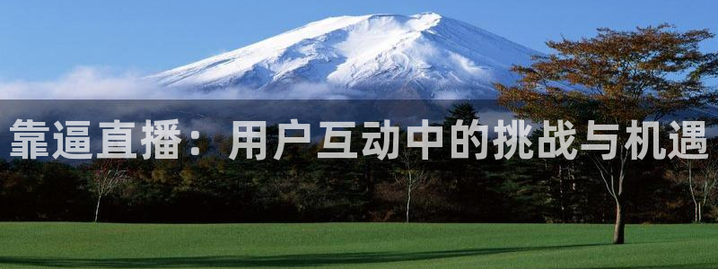 足球直播黑白直播