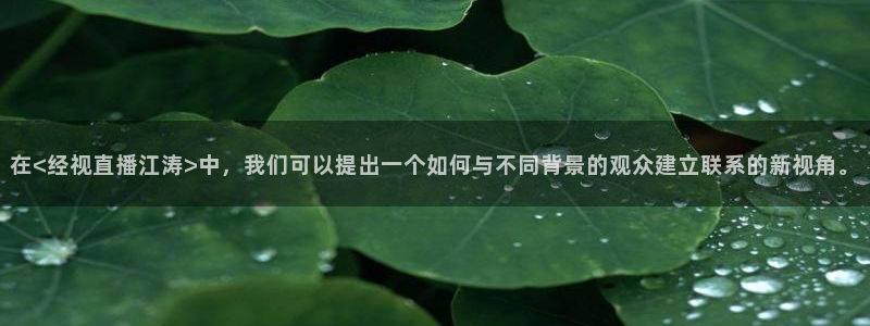 黑白篮球直播网