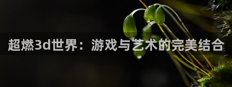 黑白体育 直播