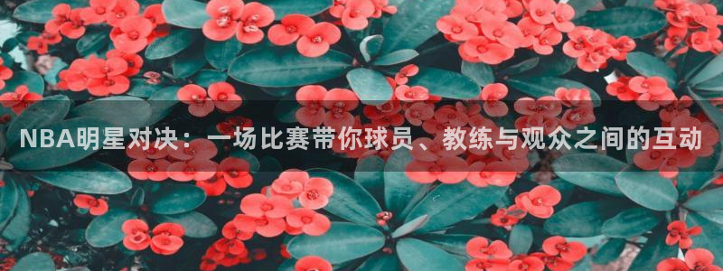 黑白体育直播更新豪礼送.送红包.org：NBA明星对决：一场比赛带你球员、教练与观众之间的互动