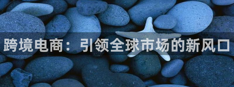 黑白体育免费观看：跨境电商：引领全球市场的新风口
