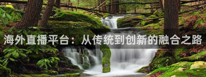 黑白直播体育在线：海外直播平台：从传统到创新的融合之路