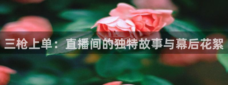 黑白足球直播在线观看免费：三枪上单：直播间的独特故事与幕后花絮