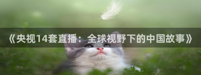 黑白体育电视直播app：《央视14套直播：全球视野下的中国故事》